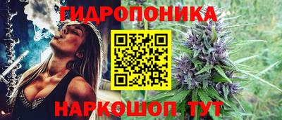 хмурый Тула