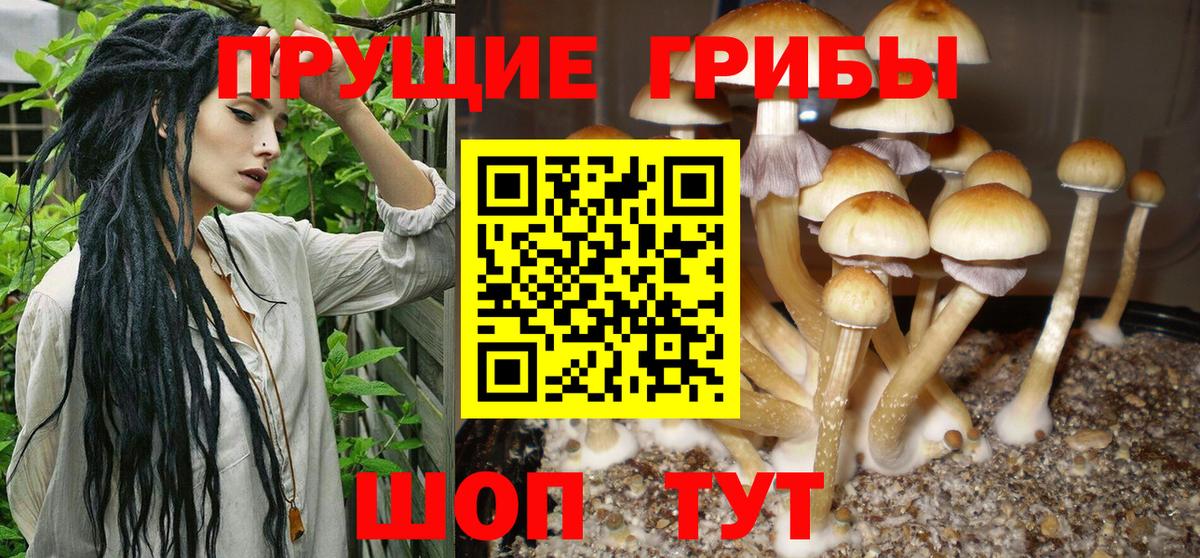 Нефтекамск  Галлюциногенные грибы Magic Shrooms  Псилоцибиновые грибы прущие грибы  Вход с VPN 